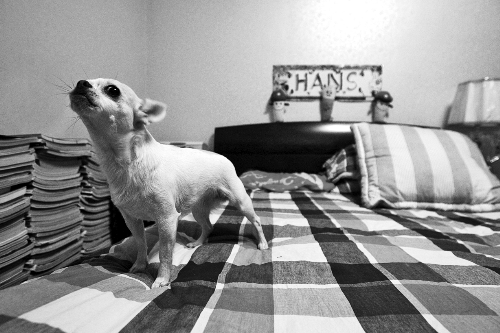 中国小伙为报瑞士老人恩情接其回国赡养送终