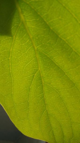 һҶһ���磨��Ӱ��Ʒ��