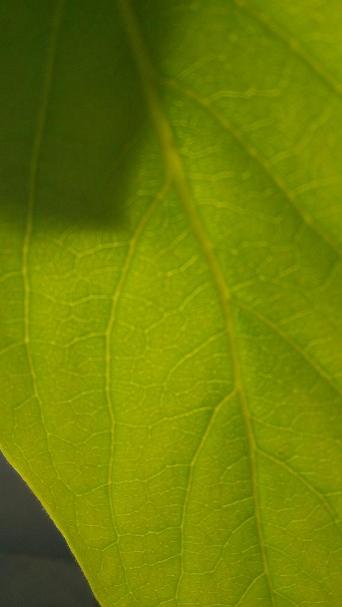 һҶһ���磨��Ӱ��Ʒ��