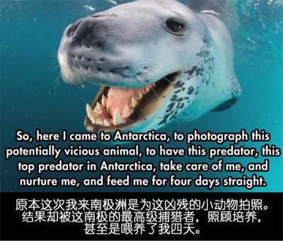 ��Ӱʦ���ϼ�Ǳˮ���յ�ʱ����ˮ��������һֻ����