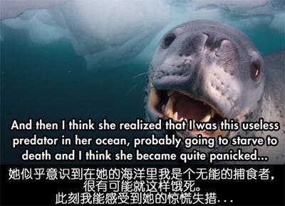 ��Ӱʦ���ϼ�Ǳˮ���յ�ʱ����ˮ��������һֻ����