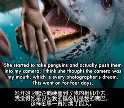 ��Ӱʦ���ϼ�Ǳˮ���յ�ʱ����ˮ��������һֻ����