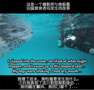 ��Ӱʦ���ϼ�Ǳˮ���յ�ʱ����ˮ��������һֻ����