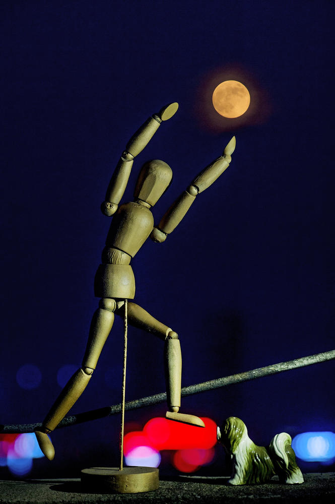 ������Բҹ �������ɹ����ͼ(ͼ)