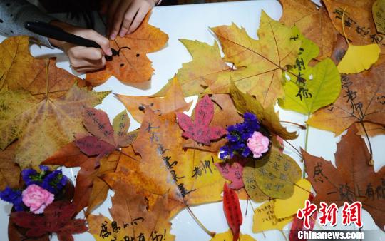 ���ݴ�ѧ�����ơ���Ҷ�ؿ�����лʦ��