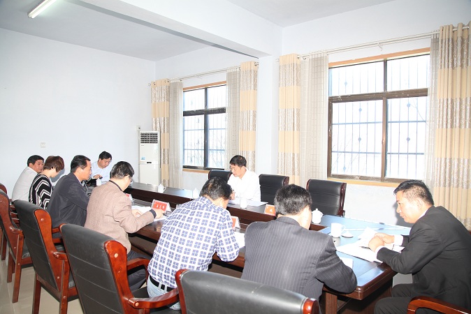 朱东亚区长莅临国土分局检查指导工作