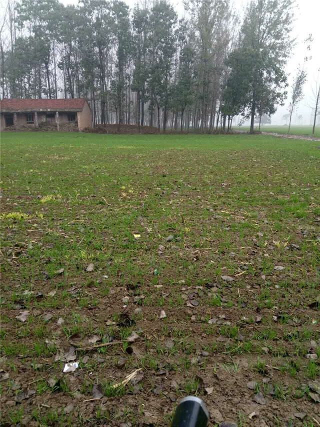 睢阳区对2016年度第二批、第三批城乡建设用地增减挂钩试点项目拆旧区土地复垦工作进行验收