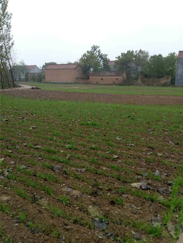 睢阳区对2016年度第二批、第三批城乡建设用地增减挂钩试点项目拆旧区土地复垦工作进行验收