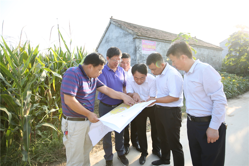 878365.com服务好重点项目建设深入乡镇现场办公