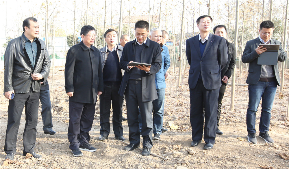 国家土地督察济南局莅临睢阳区开展专项督查