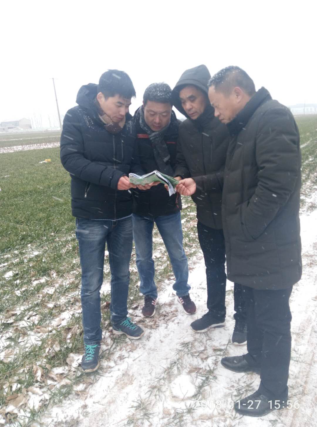 ����־��γǹ���������ðѩ�ֳ��˲�����ͼ��