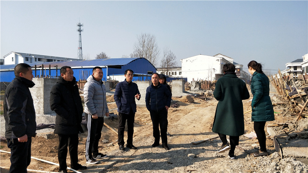 商丘市睢阳区重拳出击 强力打击违法占地