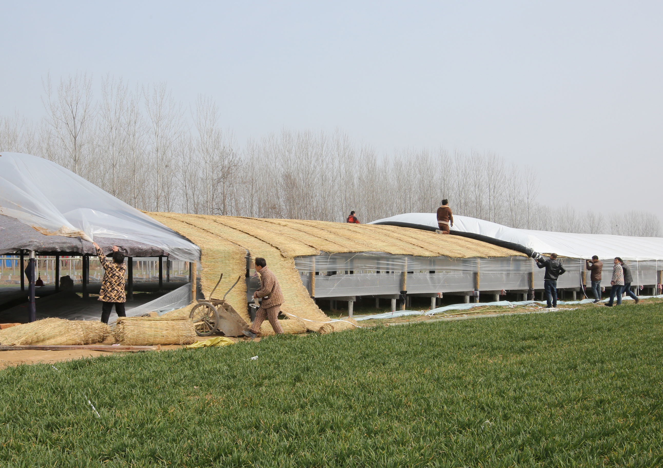 用心执法动之以情 违章搭建自行拆除