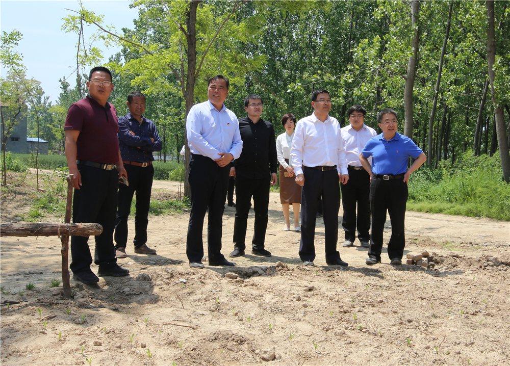 商丘市国土资源局党组书记、局长郭幸生到睢阳区调研城乡建设用地增减挂钩工作