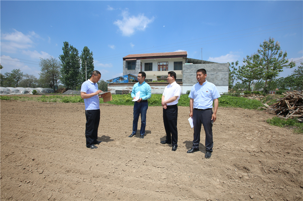 �������������չ2017�����Ƭ��Сɢ���ۡ�Υ��ͼ��ר�������ж�