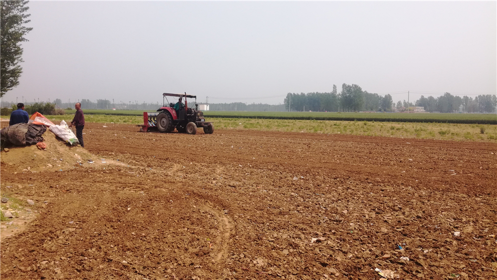 �������������չ2017�����Ƭ��Сɢ���ۡ�Υ��ͼ��ר�������ж�