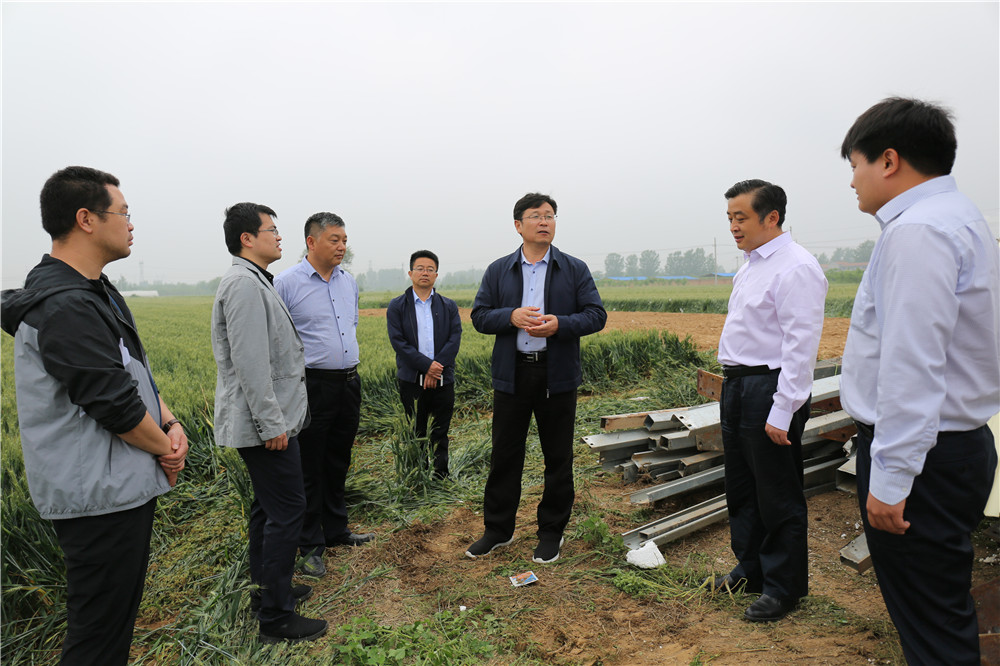 商丘市睢阳区区长栗朝举调研督导土地卫片执法工作